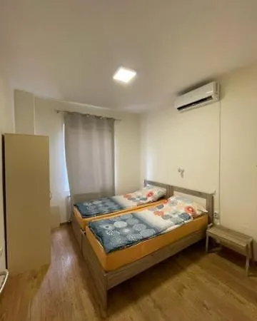 Dolphin Hostel