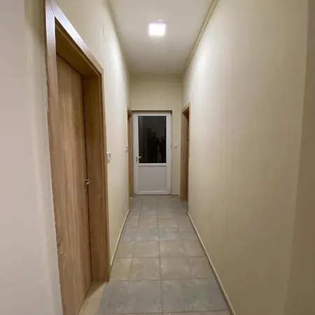 Hostel Dolphin